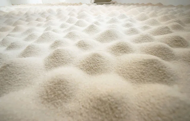 “SAND” Exhibition by Wataru Shinji and Lily Zhang