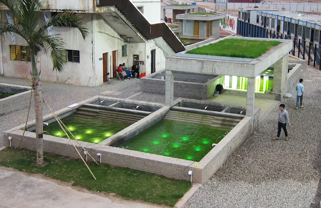 Floating Fields algae pavilion